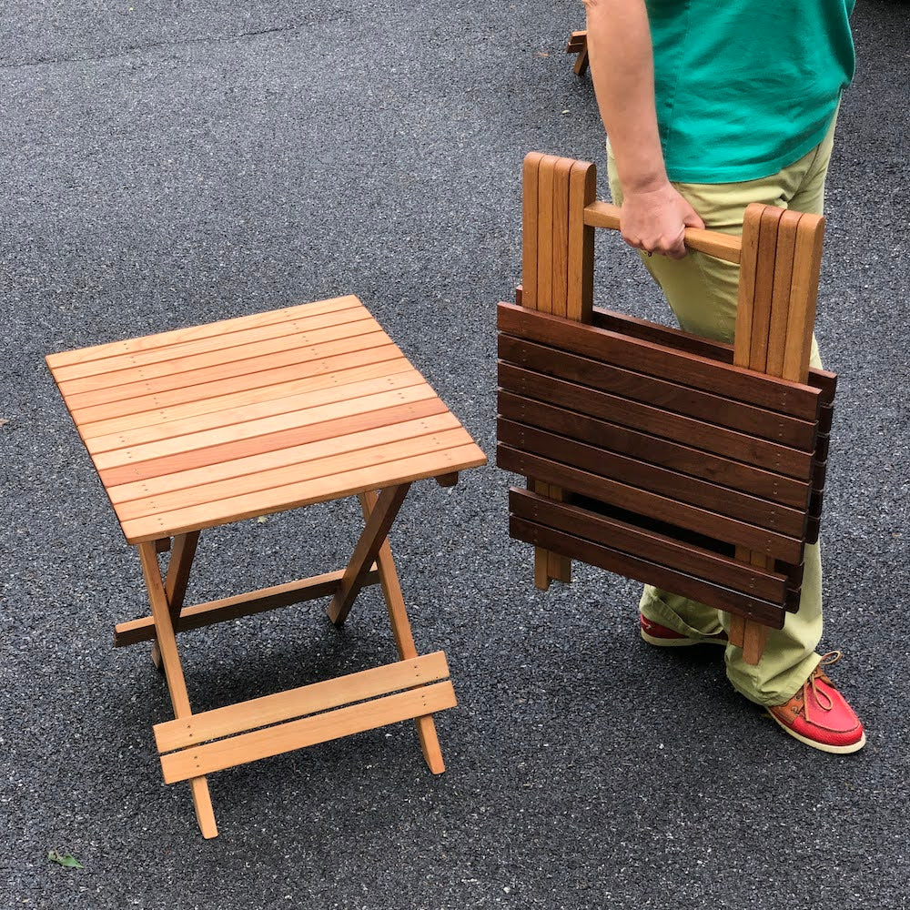 Portable Folding Picnic Table